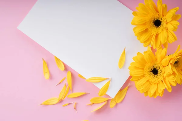 Pembe Arka Planda Ayçiçeği Olan Beyaz Kağıt Çerçeve Yap Üst — Stok fotoğraf