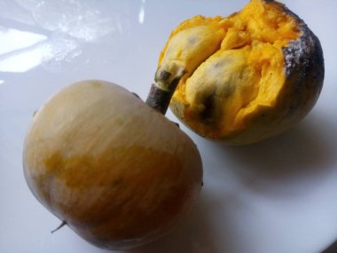 Puteria Campechiana Taze Yumurta Meyvesi