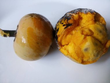 Puteria Campechiana Taze Yumurta Meyvesi