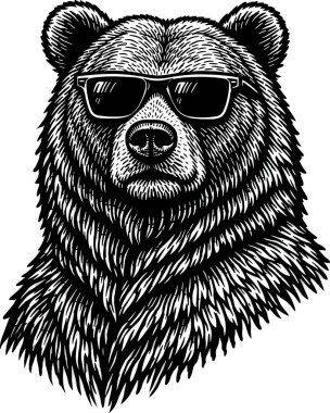 Güçlü boz ayı kafası. Detaylı ahşap oyma tarzında güneş gözlüğü takıyor. Vahşi yaşamı koruma, açık hava markaları ve erkeksi grafik tasarımları için klasik vektör çizimi.