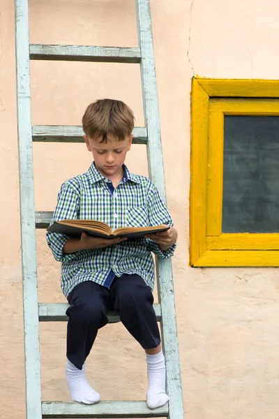 boy studying book