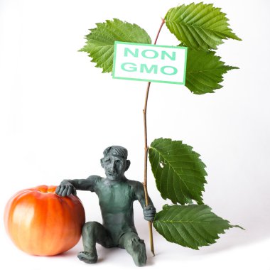 GDO kavramı tehlike bir adam figürü