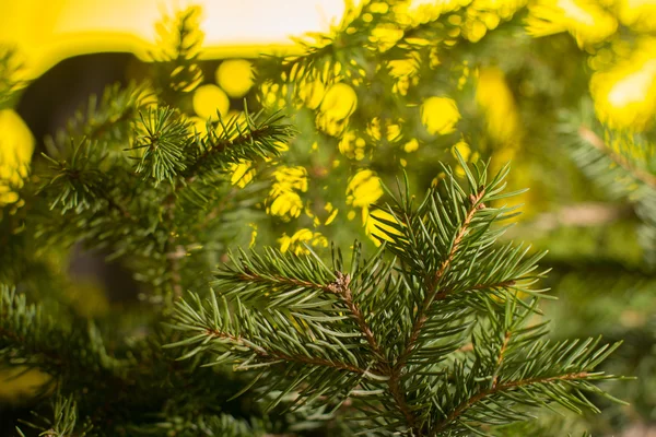 Árvore de natal bokeh — Fotografia de Stock