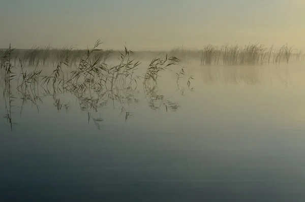 호수 — 스톡 사진
