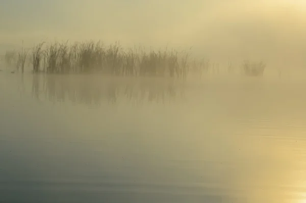 O lago — Fotografia de Stock