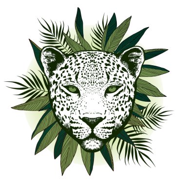 Graphical leopard  with palm leaves clipart
