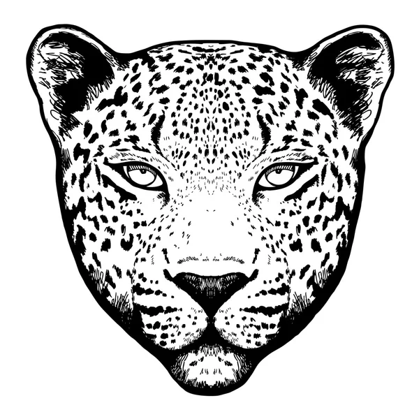 Grafischer Leopardenkopf -Illustration — Stockvektor