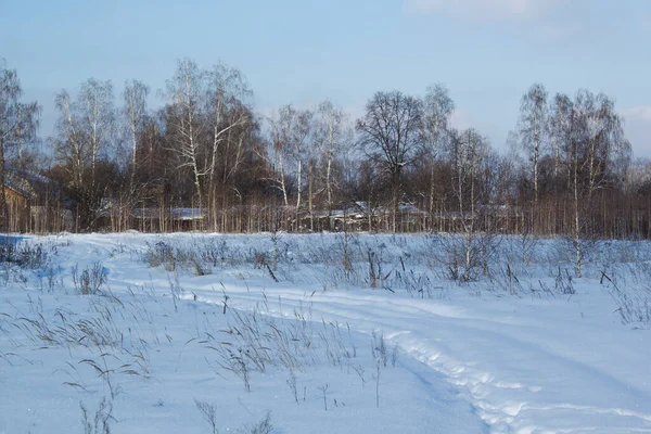 Paesaggio Invernale Sera Piccolo Villaggio Dietro Gli Alberi — Foto Stock