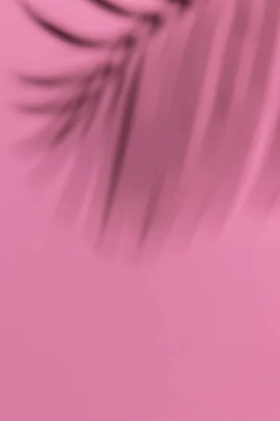 Розовый Фон Пальмовая Тень Отдых Путешествия Развлекательная Концепция Копировальным Пространством — стоковое фото