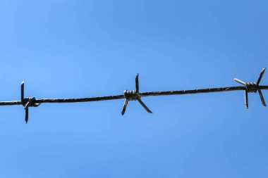 Dikenli teller mavi gökyüzü arka planına karşı. Hapis ve hapishane kavramı