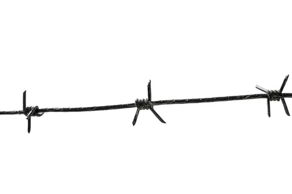 Barbed Wire Isolated White Background Imprisonment Prison Concept — Stock Photo, Image