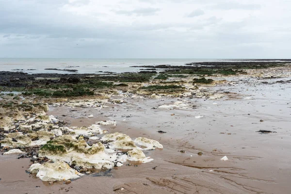 Margate 'de deniz manzarası, Kent' te palmiye koyunda kaya havuzları ve sahilde deniz otları. Gelgit sona erdi, güzel ışık.
