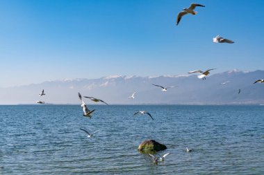 Çin 'in Yunnan ilindeki Dali yakınlarındaki Erhai Gölü manzarası