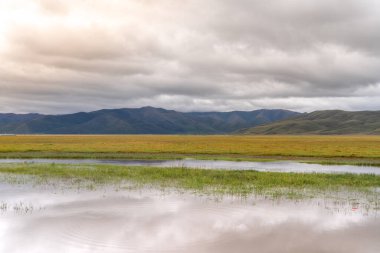 Çin 'deki Şangri-La çevresindeki Tibet çayırı ve gölünün güzel manzarası.