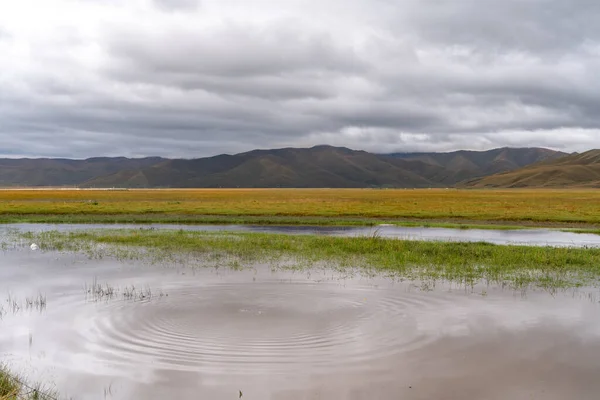 Beautiful Scenery View Tibetan Meadow Lake Shangri China — Stock Photo, Image