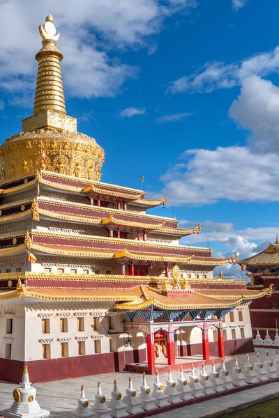 Дивовижний Вид Тибетської Буддійської Академії Монастиря Храм Донга Тибеті — стокове фото