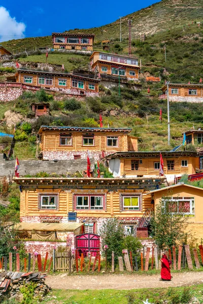 Вид Академію Личинки Ларунг Гар Тибет — стокове фото