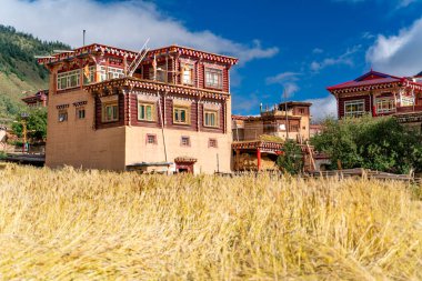 Tibet 'teki geleneksel uzak Tibet köyü ve aile evinin manzarası.