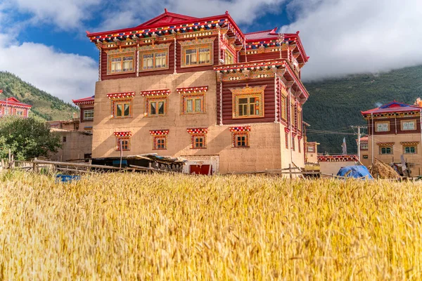 Tibet Teki Geleneksel Uzak Tibet Köyü Aile Evinin Manzarası — Stok fotoğraf