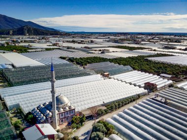 Türkiye 'nin Demre-Antalya ilçesindeki yeşil sera tarlalarının yüksek açılı insansız hava aracı görüntüsü