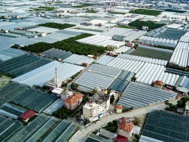 Türkiye 'nin Demre-Antalya ilçesindeki yeşil sera tarlalarının yüksek açılı insansız hava aracı görüntüsü