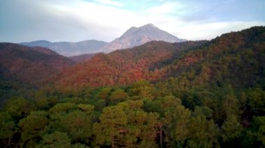 İzleme yolu arasındaki doğal parka inanılmaz yüksek açılı insansız hava aracı görüntüsü: Güney Türkiye, Antalya ve Mugla 'da 