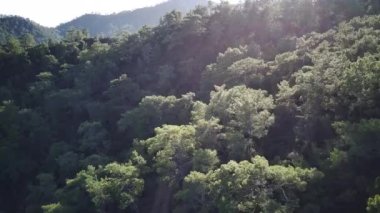 İzleme yolu arasındaki doğal parka inanılmaz yüksek açılı insansız hava aracı görüntüsü: Güney Türkiye, Antalya ve Mugla 'da 