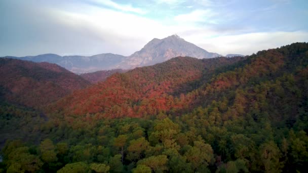 Niesamowity Widok Góry Pod Wysokim Kątem Drona Naturalny Park Wśród — Wideo stockowe