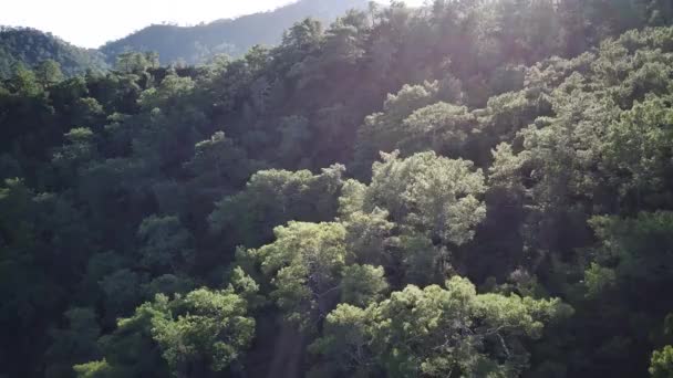 Incrível Vista Drone Alto Ângulo Parque Natural Entre Caminho Rastreamento — Vídeo de Stock
