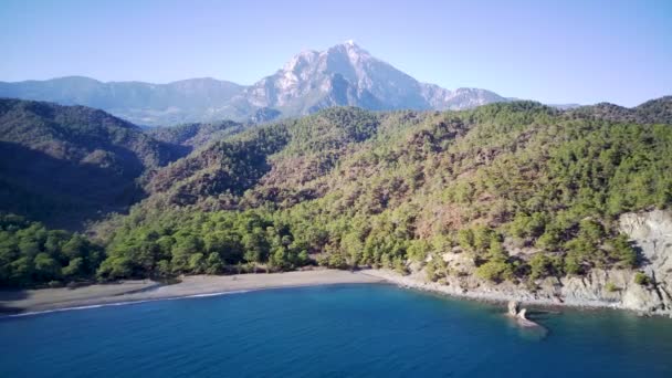 Vue Incroyable Drone Haut Angle Sur Parc Naturel Parmi Sentier — Video