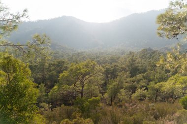 İzleme yollarının arasındaki doğal parka bakın: Güney Türkiye, Antalya ve Mugla illerinde 