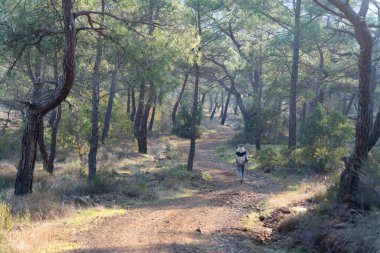 İzleme yollarının arasındaki doğal parka bakın: Güney Türkiye, Antalya ve Mugla illerinde 