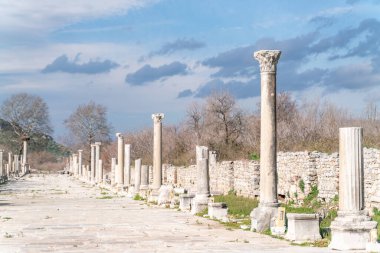 Selcuk, İzmir, Türkiye - Efes harabelerindeki Memmius Anıtı sütunları, Doğu Akdeniz İyon bölgesindeki tarihi antik Roma arkeoloji sahaları mavi gökyüzü altında
