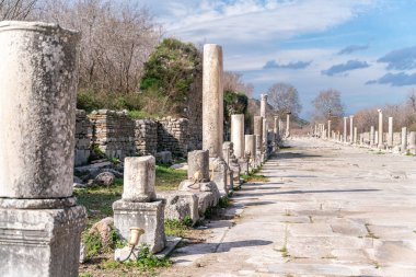 Selcuk, İzmir, Türkiye - Efes harabelerindeki Memmius Anıtı sütunları, Doğu Akdeniz İyon bölgesindeki tarihi antik Roma arkeoloji sahaları mavi gökyüzü altında