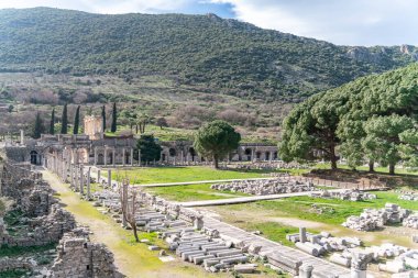 Selcuk, İzmir, Türkiye - Efes harabelerindeki Memmius Anıtı sütunları, Doğu Akdeniz İyon bölgesindeki tarihi antik Roma arkeoloji sahaları mavi gökyüzü altında