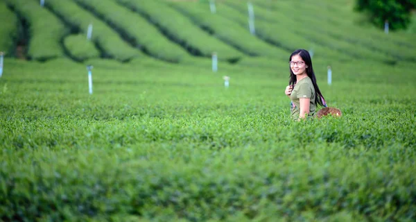 丘の紅茶プランテーションの女性 — ストック写真