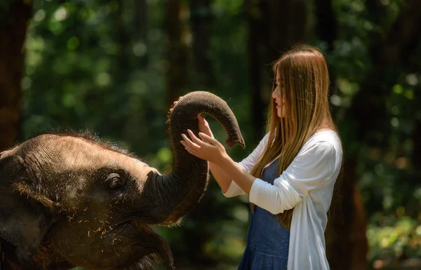 Женщина трогает слона всем сердцем — стоковое фото