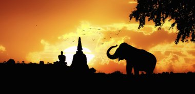 Elephant silhouette in Thailand clipart