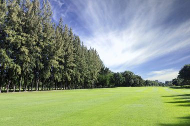 Yeşil golf alanı
