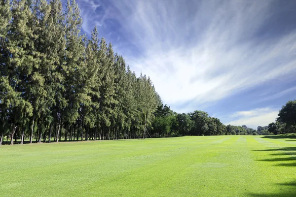 Gröna golf fält — Stockfoto