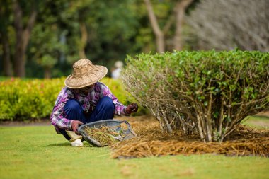 Bahçe araç çalışma kadınla