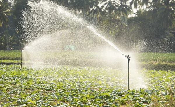 Vista mattutina di un sistema di irrigazione a mano — Foto Stock