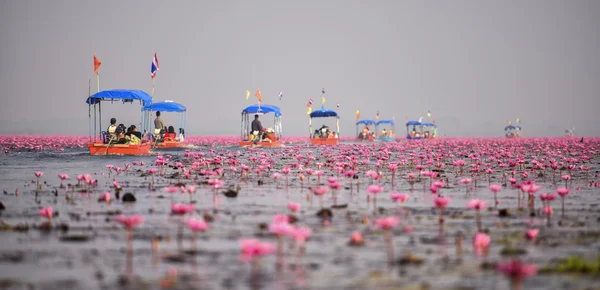 Turista tailandés tomar barco visitando el mar de lirio de agua roja festival — Foto de Stock