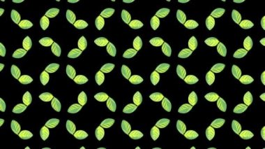 Kelebek çiçeği yaprakları siyah bir arkaplanda hareket eder..