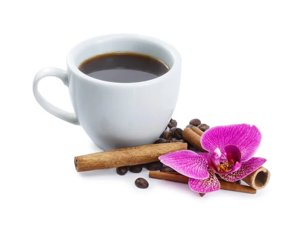 Kaffee und Orchidee isoliert auf weißem Hintergrund Stockbild