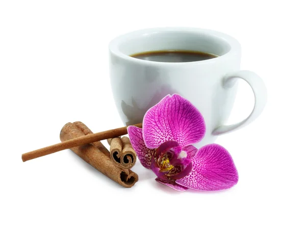 咖啡和孤立在白色背景上的兰花 免版税图库照片