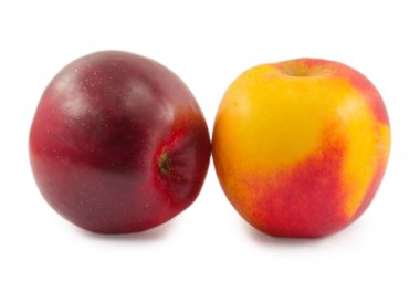 elmalar beyaz arkaplanda izole edilmiş