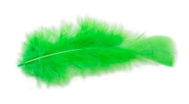 Beyaz arkaplanda izole edilmiş tüyler