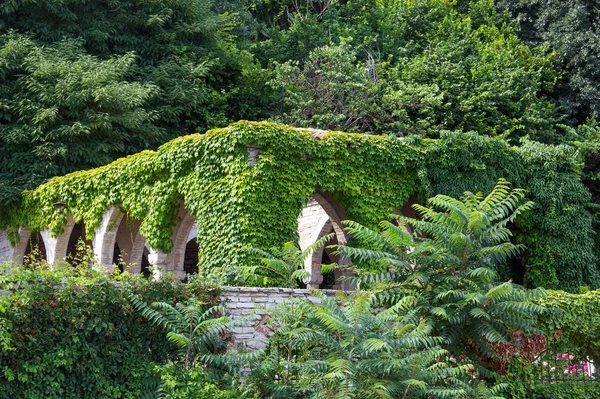 The old gazebo with arches covered with ivy in the garden — Stock Photo, Image