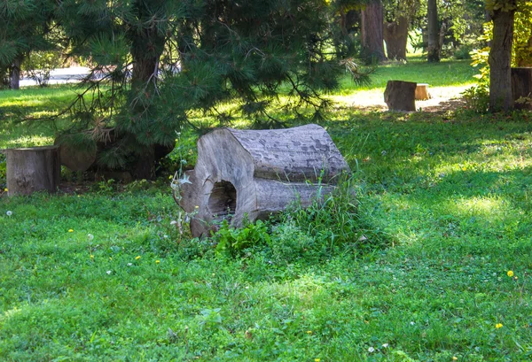 Houten stomp in de tuin — Stockfoto